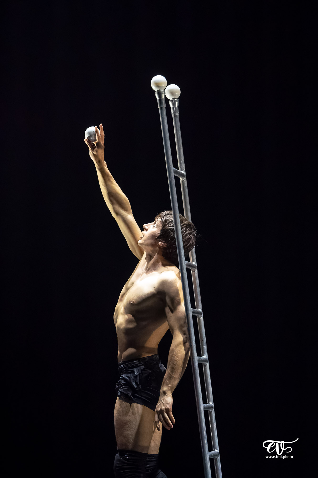 PARADISUM (CIE RECIRQUEL)